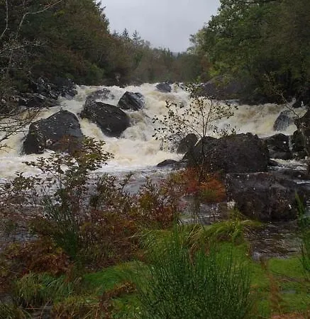 Lios 4* Woodford (Kerry)