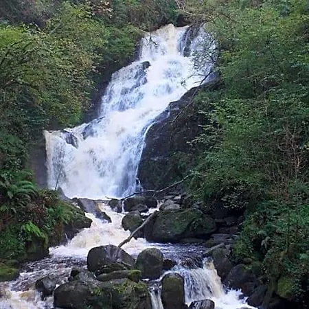 Lios 4* Woodford (Kerry)