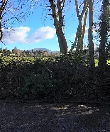 Bed & Breakfast Lios Woodford (Kerry)