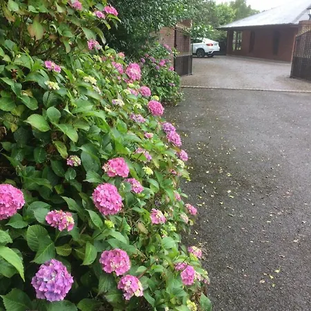 Bed and breakfast Lios 4*