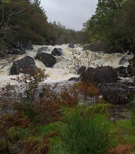 Lios 4* Woodford (Kerry)