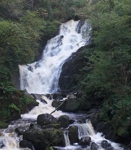 Lios Nocleg ze śniadaniem