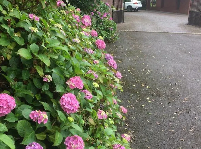 Nocleg ze śniadaniem Lios 4*