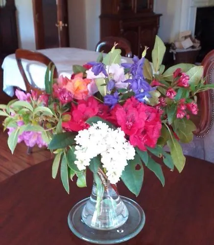 Lios Woodford (Kerry)